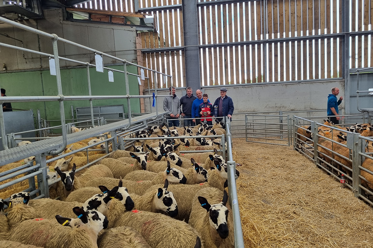 Hereford Best Consignment